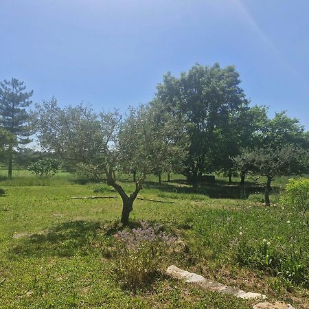 La Bastideta, Daire Fayence Dış mekan fotoğraf