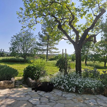 La Bastideta, Daire Fayence Dış mekan fotoğraf