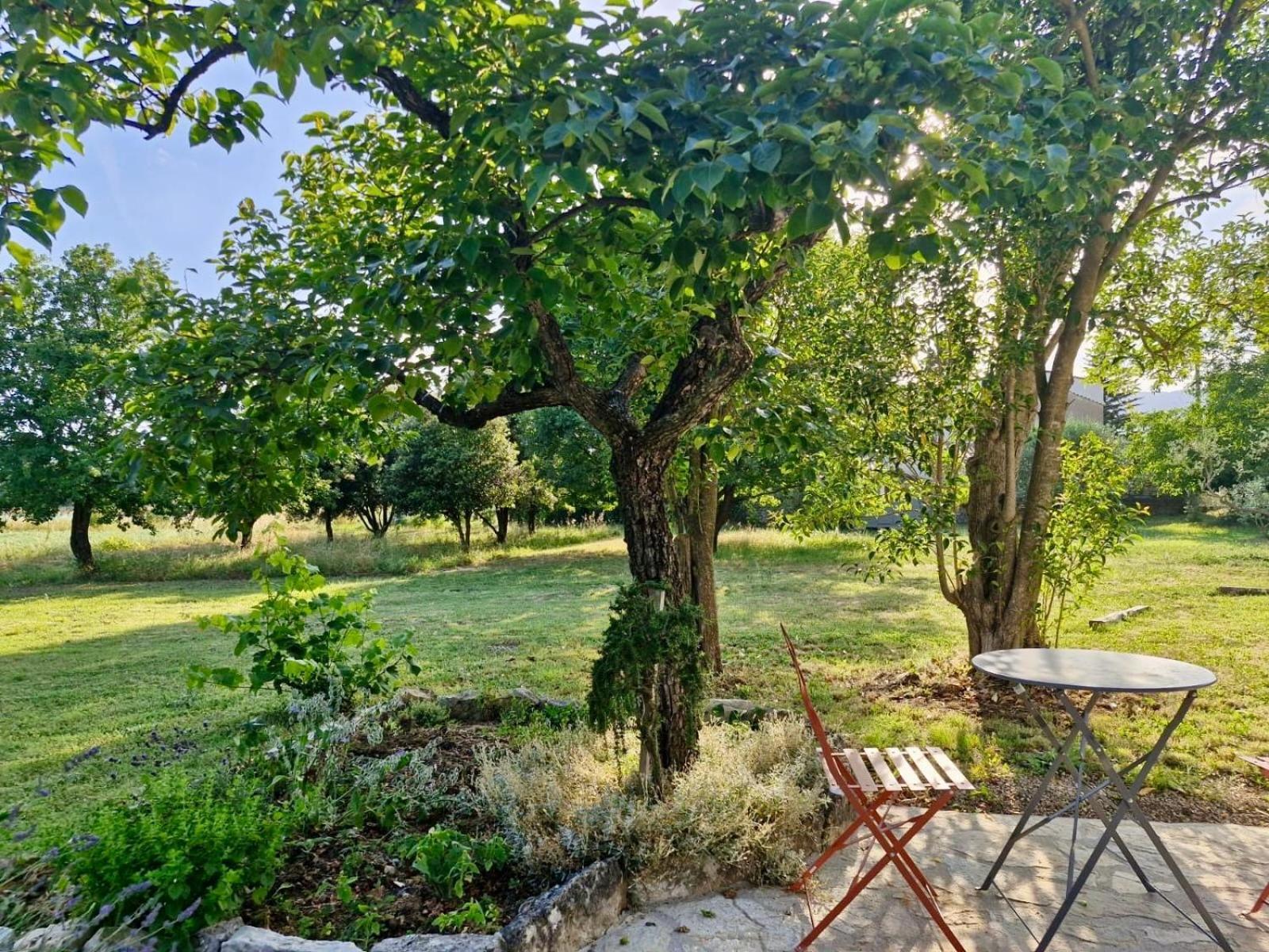 La Bastideta, Daire Fayence Dış mekan fotoğraf