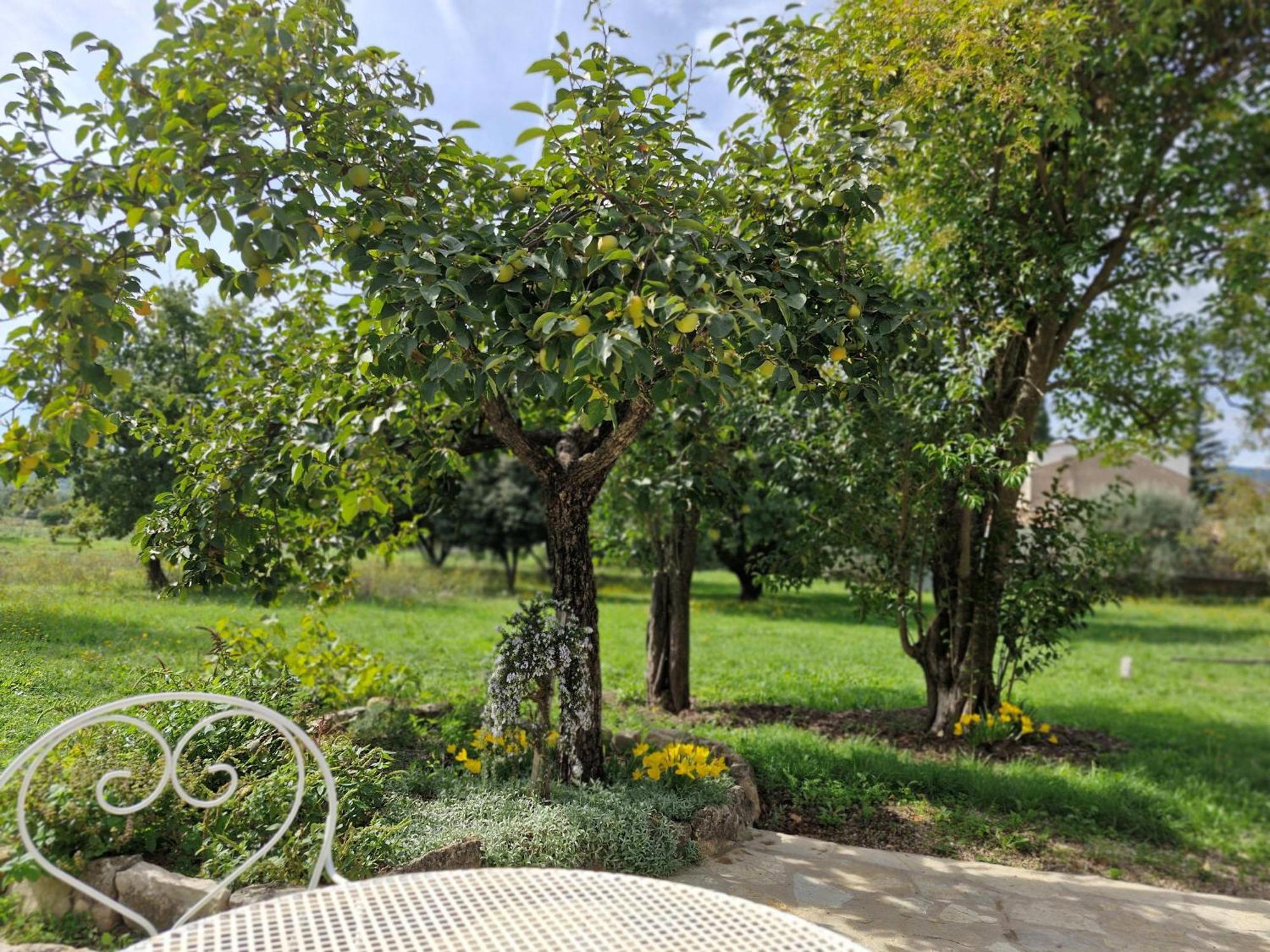 La Bastideta, Daire Fayence Dış mekan fotoğraf
