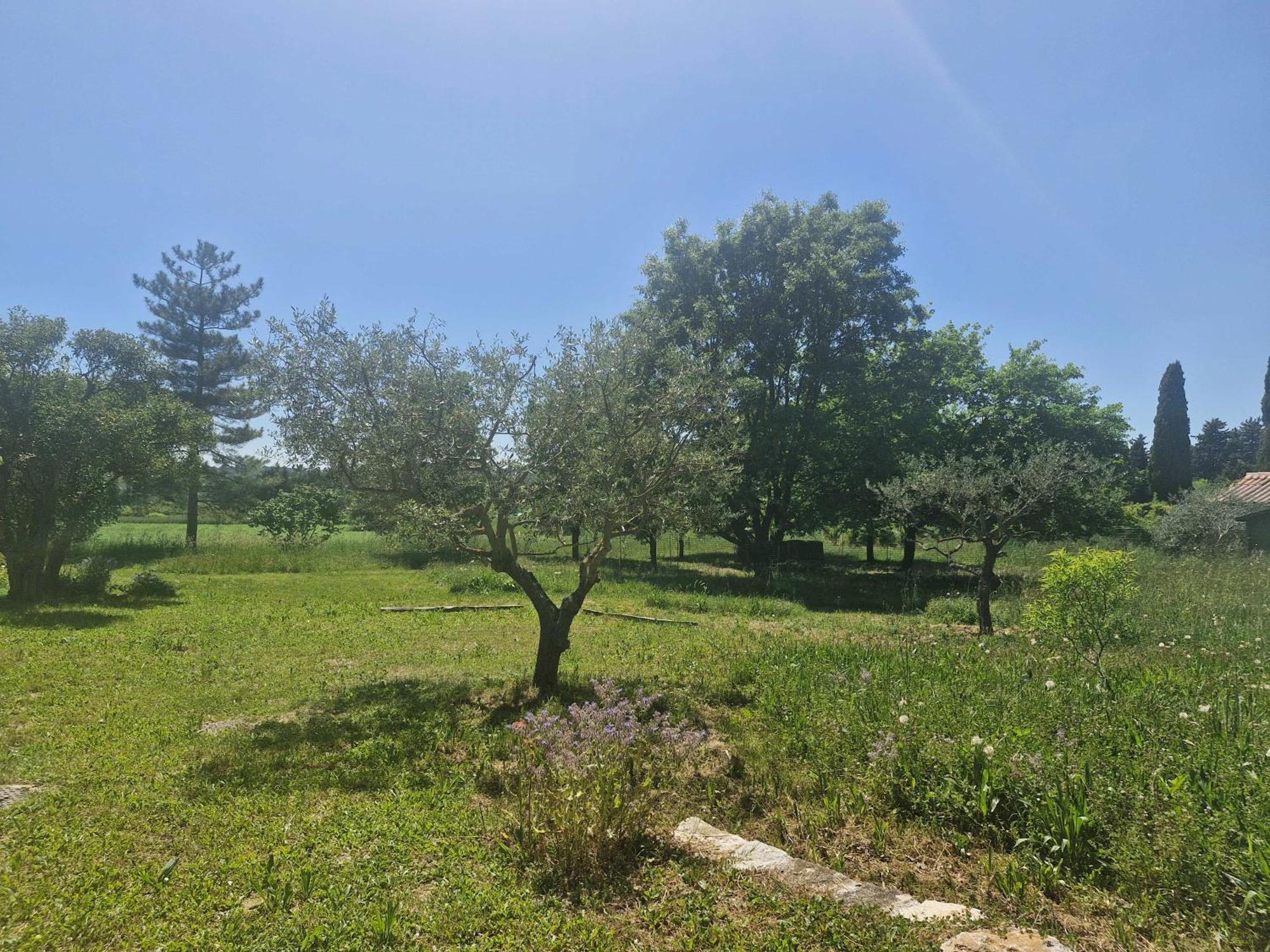 La Bastideta, Daire Fayence Dış mekan fotoğraf